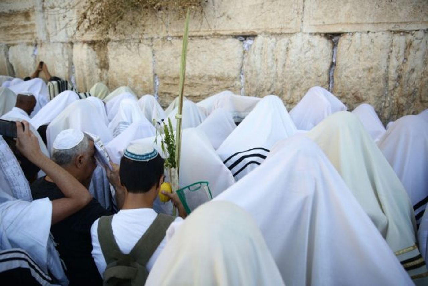 רבבות בברכת הכהנים בכותל המערבי • גלריה