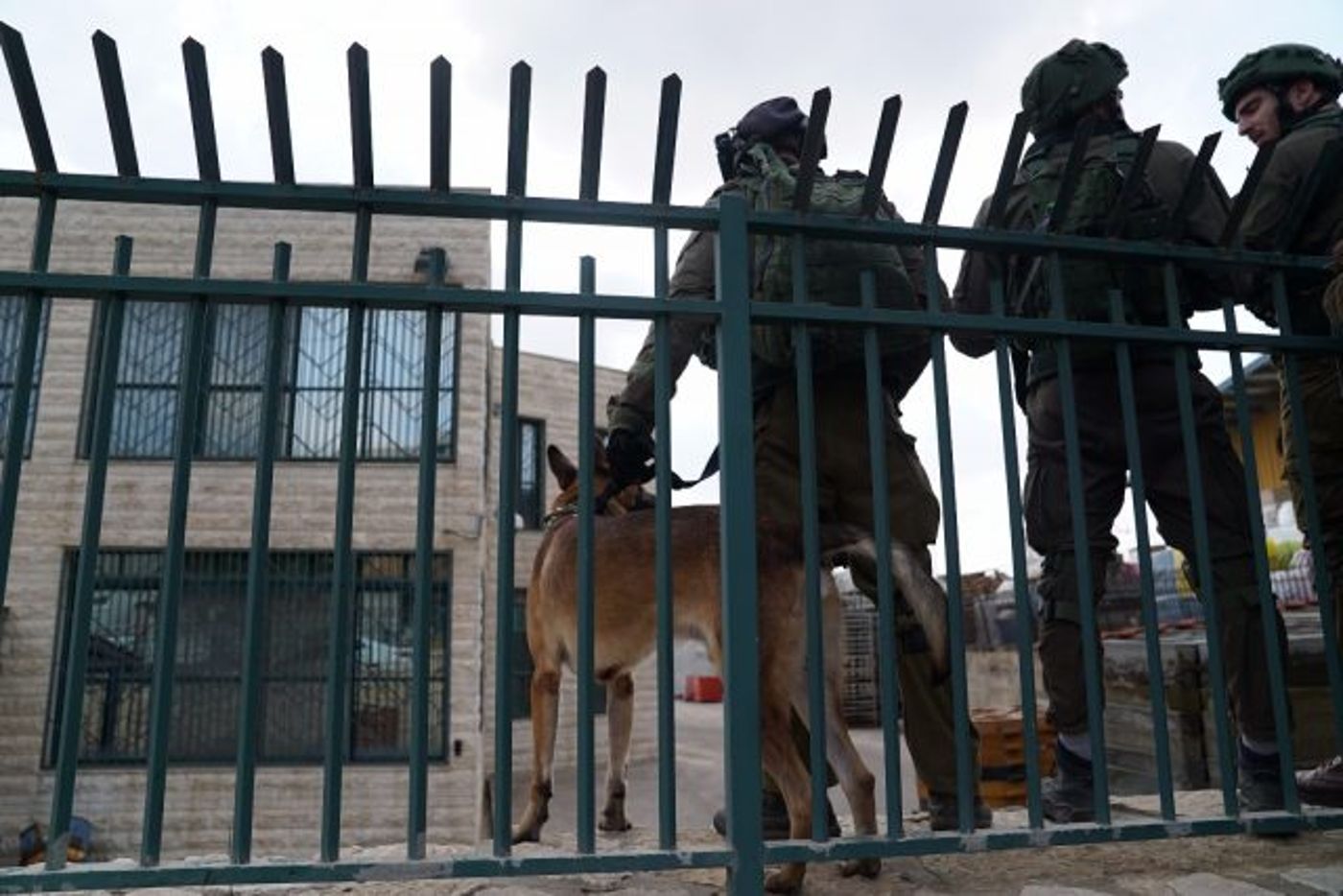 תיעוד: המצוד אחרי המחבל החמוש מהפיגוע בברקן