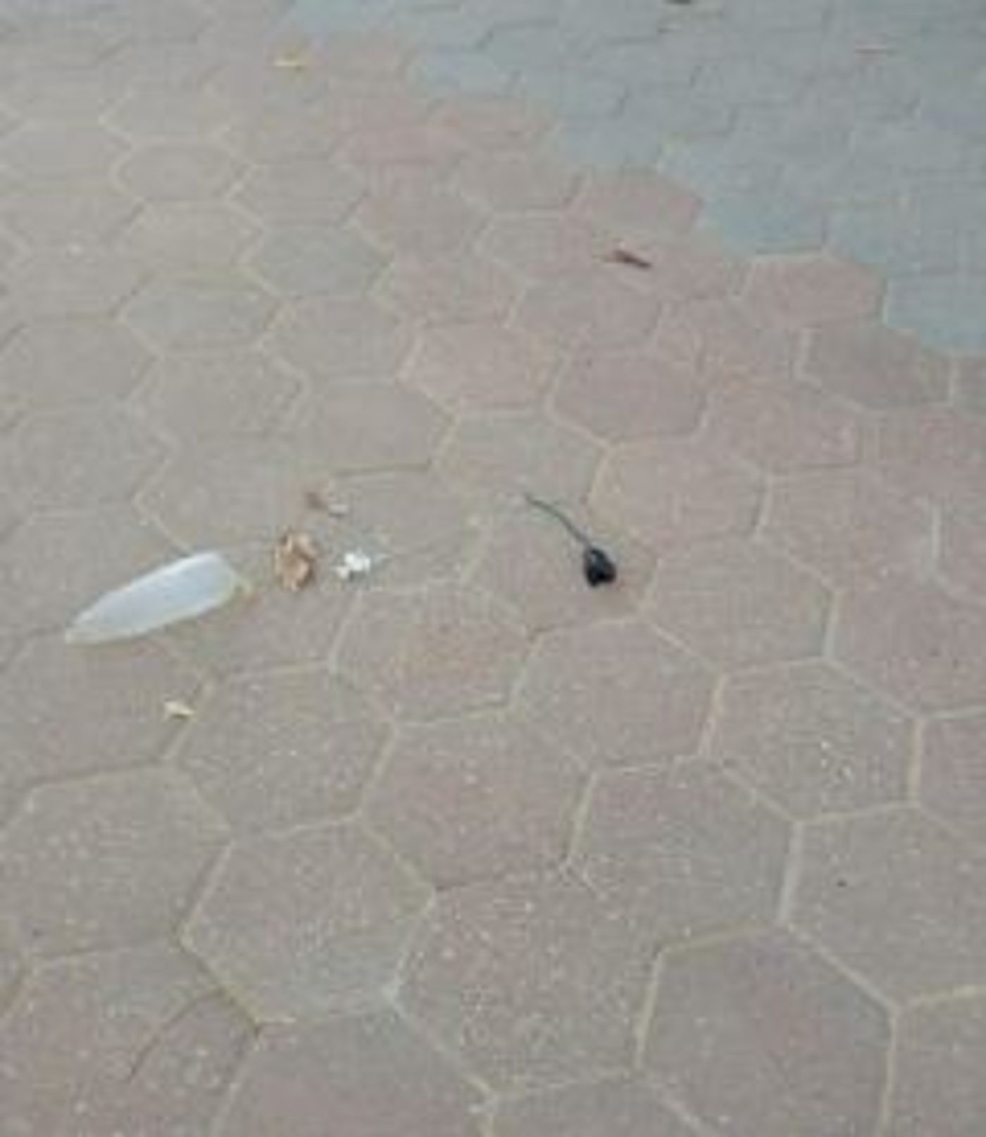 בלון תבערה נחת בבית ספר במועצה אזורית אשכול