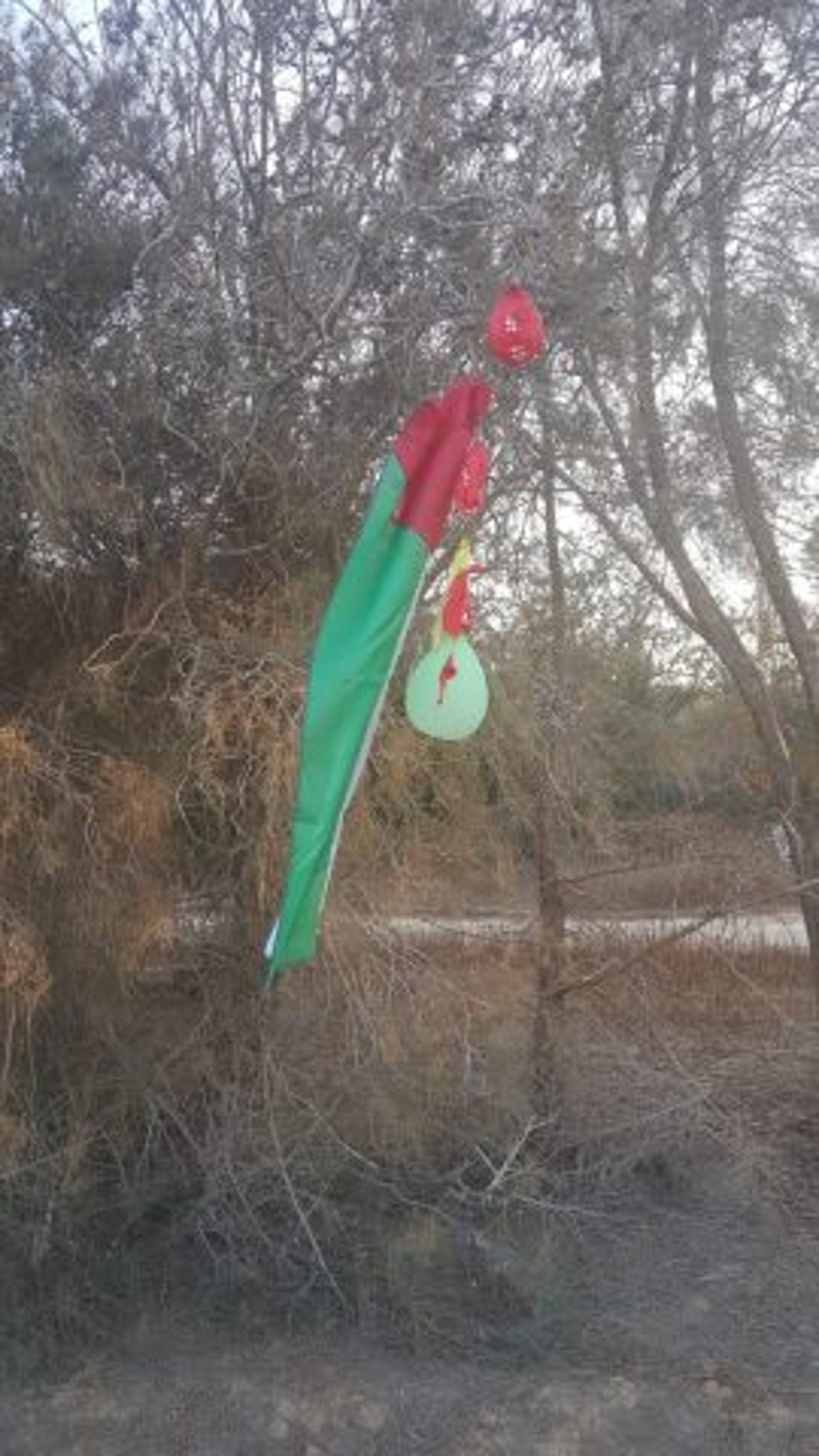 שוב: מתקפת בלוני תבערה על עוטף עזה. תיעוד