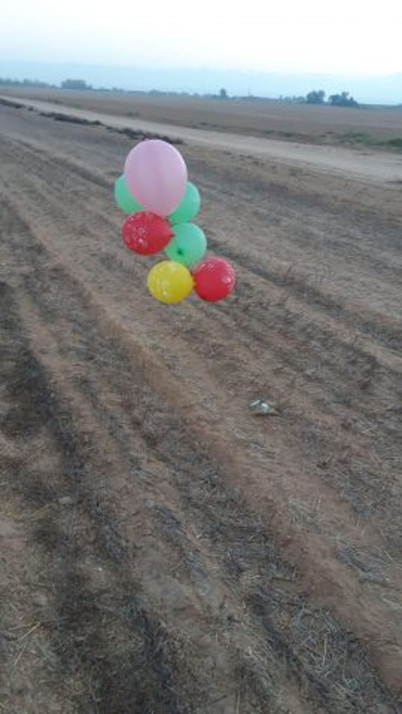 שוב: מתקפת בלוני תבערה על עוטף עזה. תיעוד