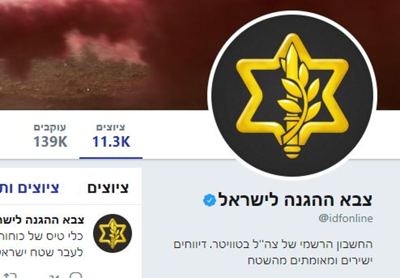 מתקפה נגד הטוויטר של צה"ל: "מדברר את החמאס"