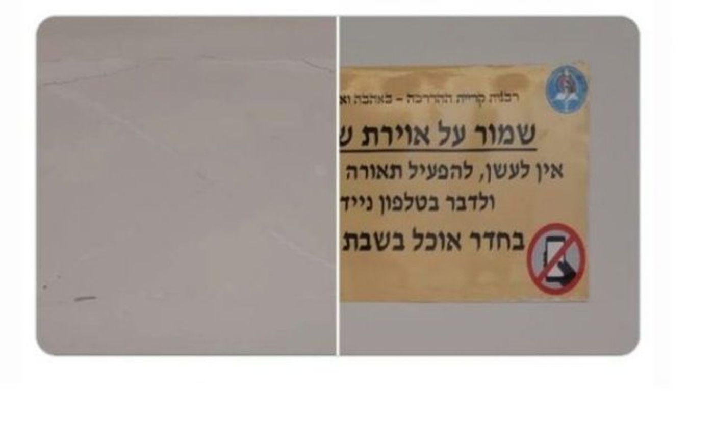 (צילום מסך מתוך הטוויטר של צחי דבוש)