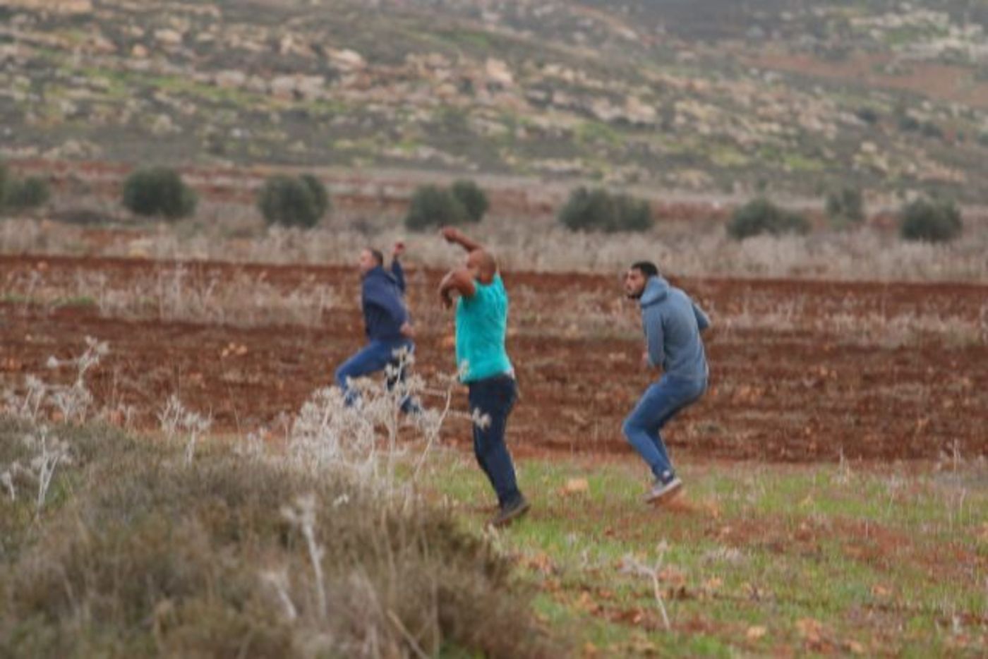 הזוי: ערבים התפרעו בגוש שילה; היהודים נעצרו