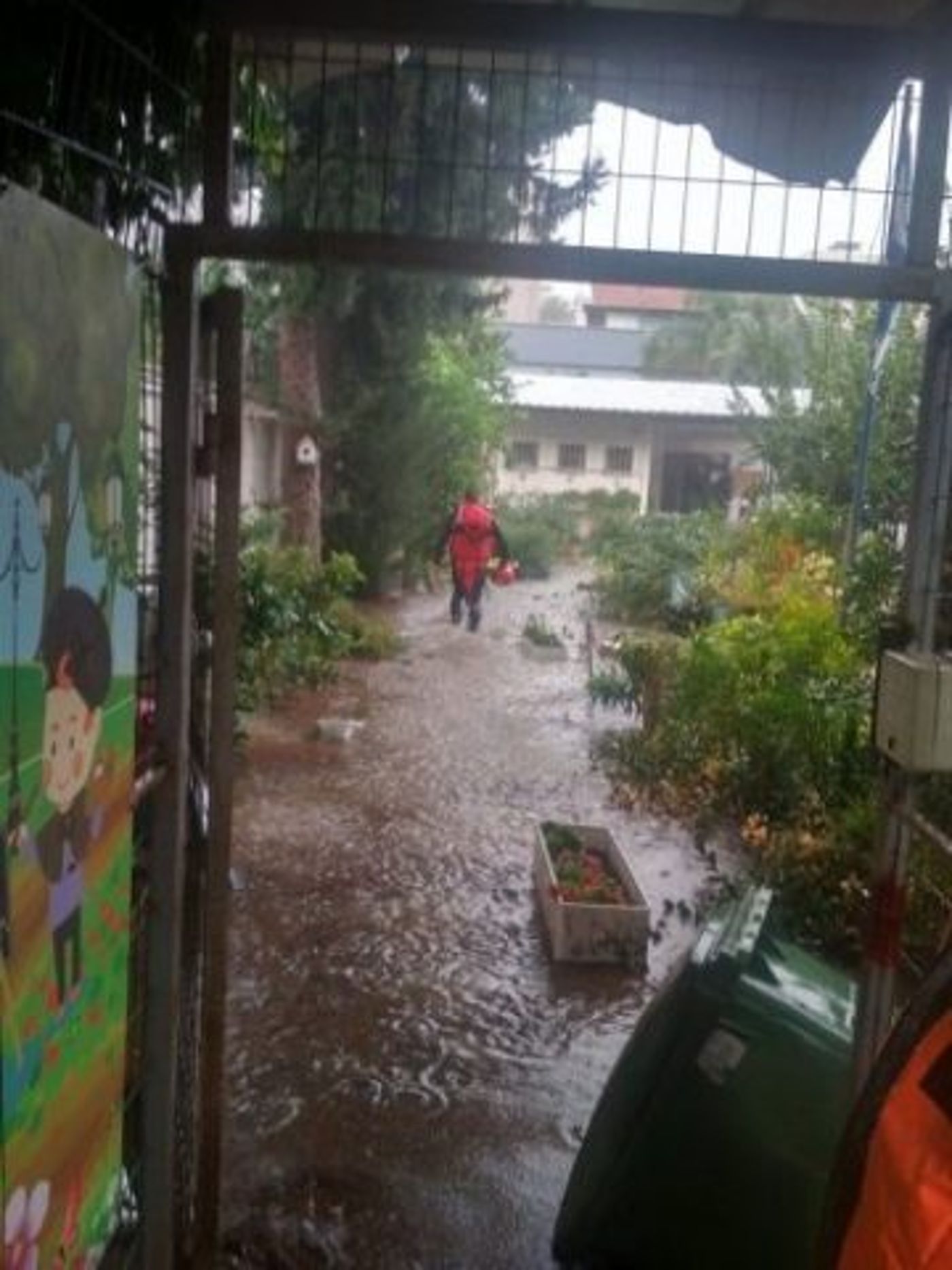 גן ילדים ברחוב ה' באייר ברחובות פונה בעקבות הצפה