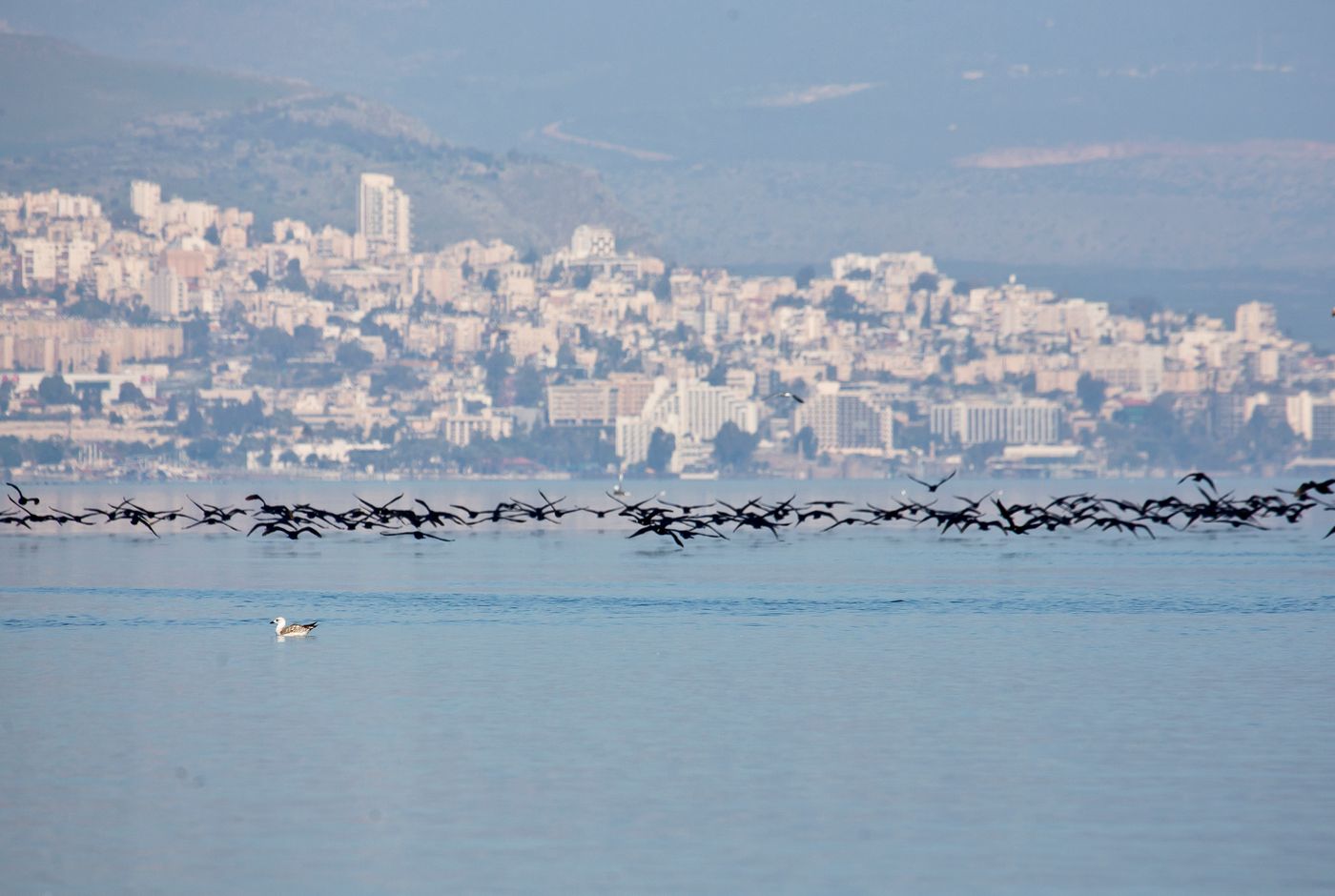 דאגה: למרות הגשמים, מפלס הכנרת בקושי עולה