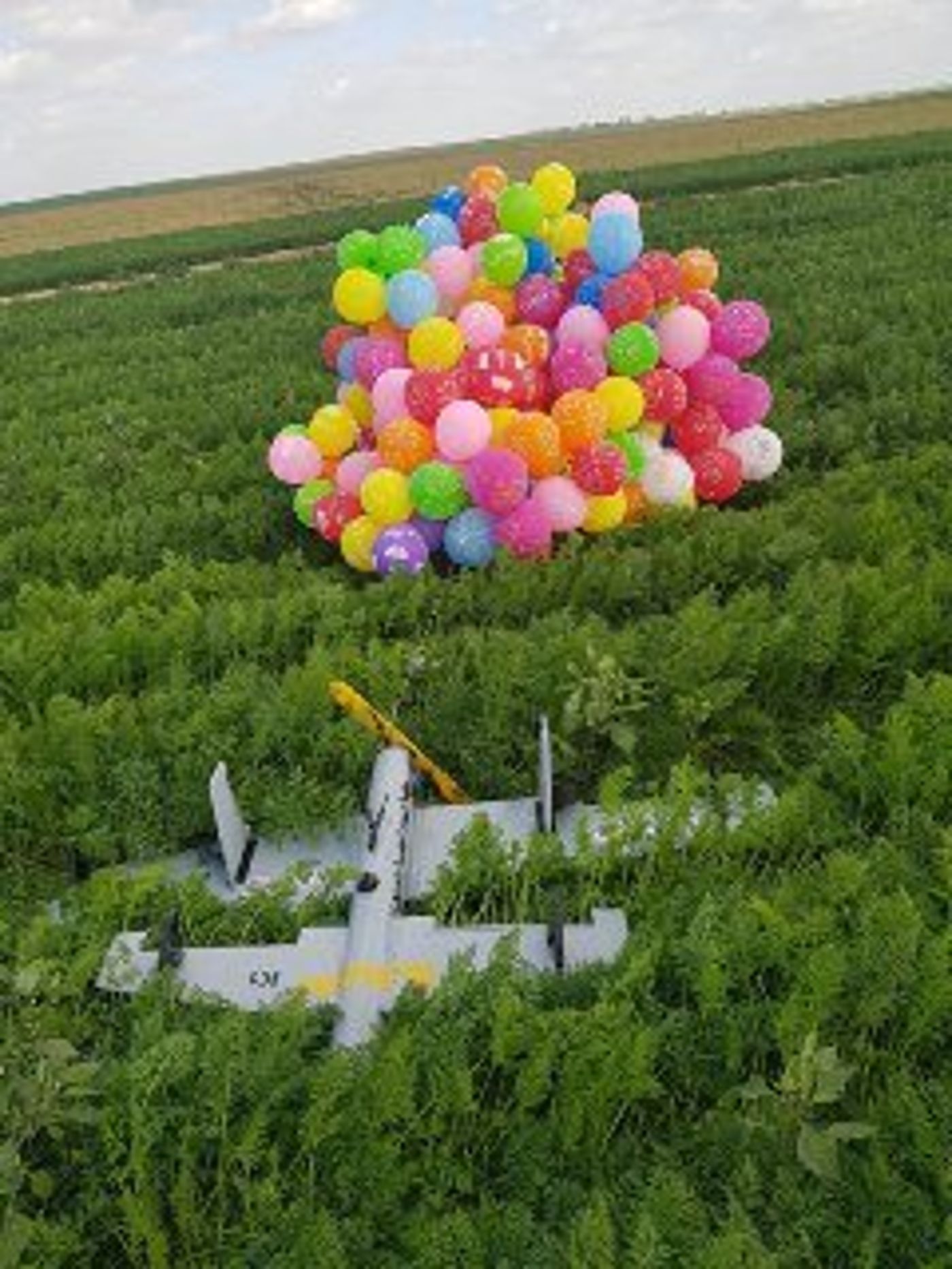 מחוברים לטיסן: עשרות בלוני תבערה נחתו בעוטף עזה