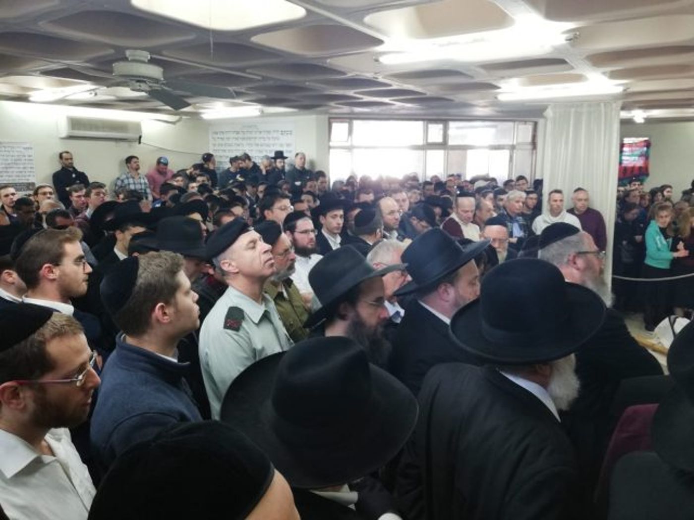 שאיפות וחלומות שנגדעו