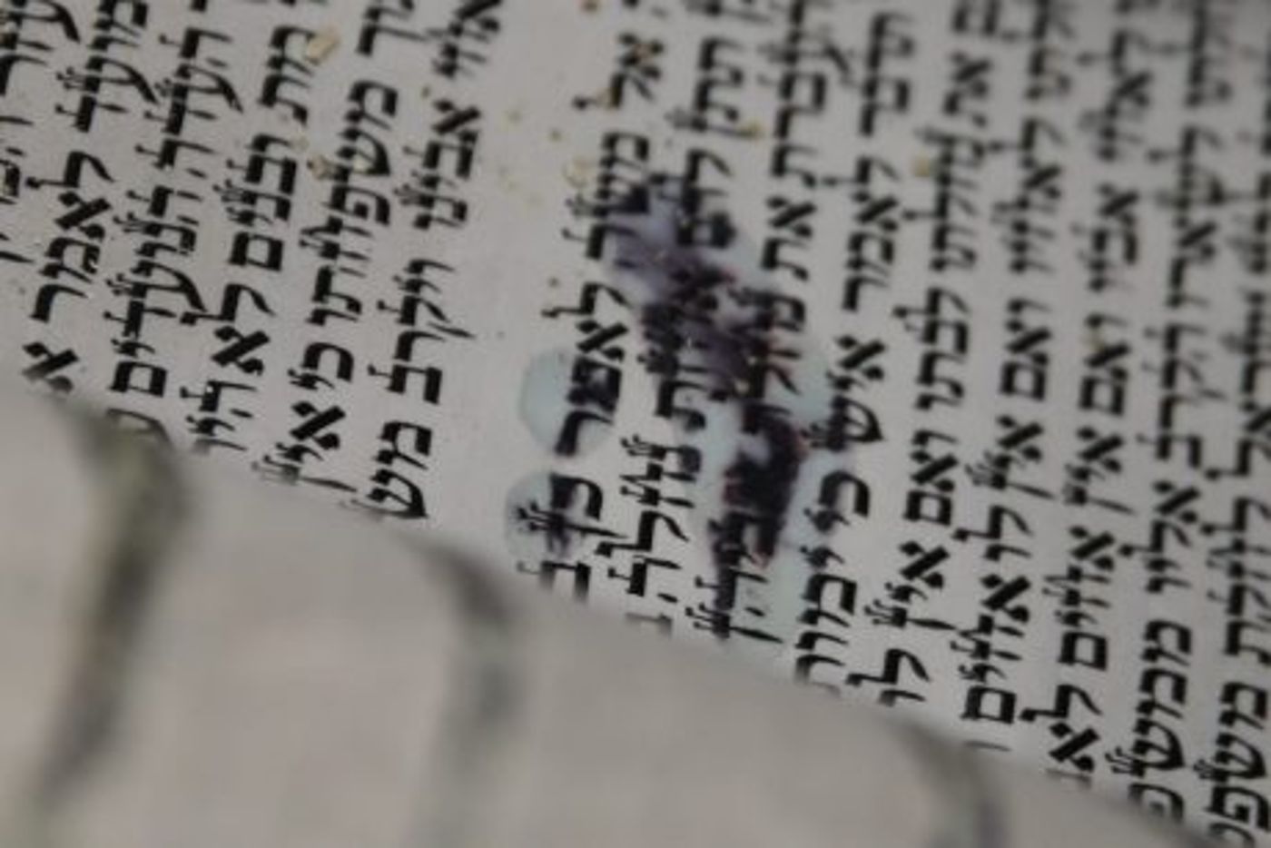 המומים וכואבים: תיעוד חילול בית הכנסת בירושלים