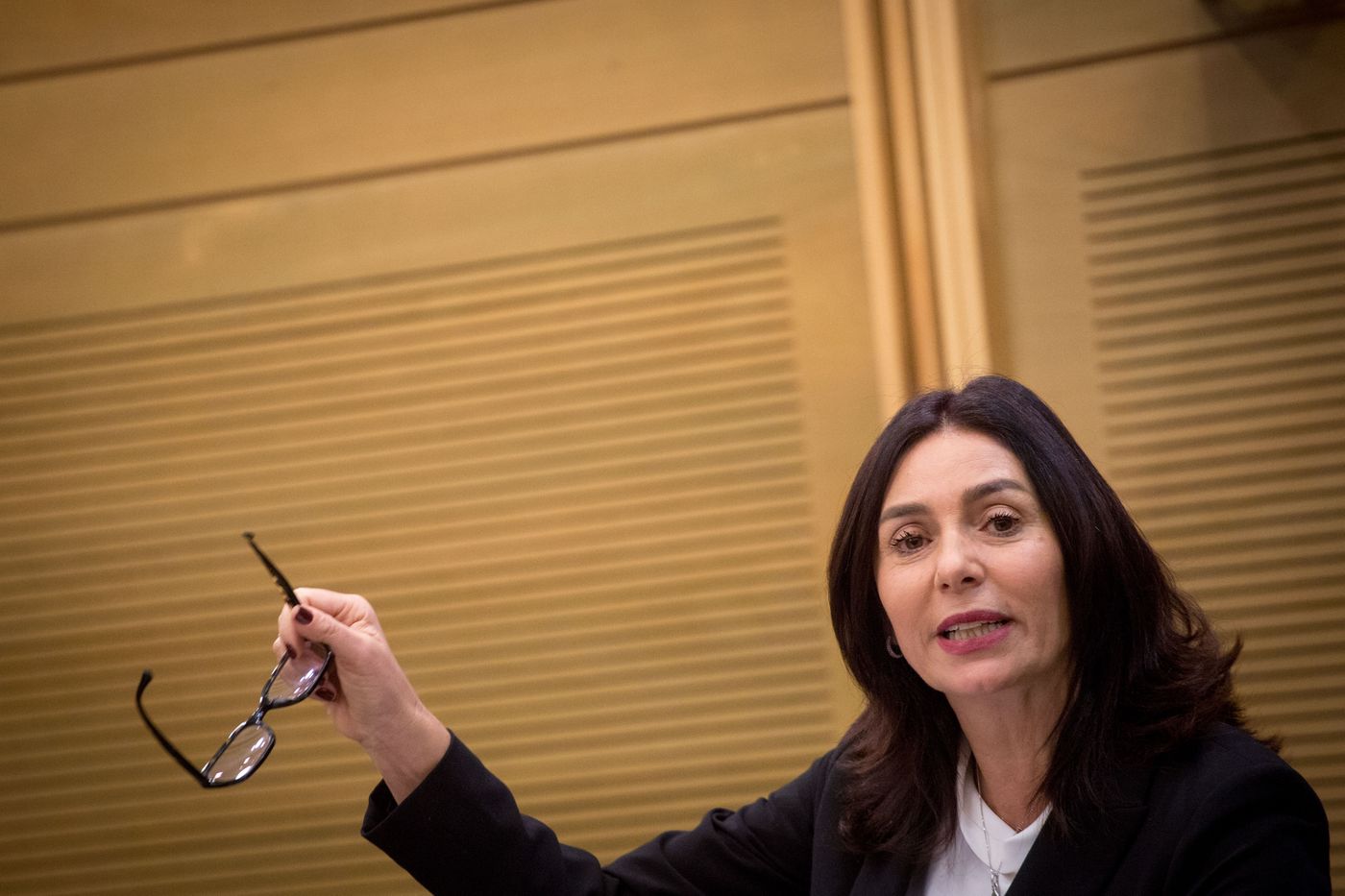 רגב: "טיבי וחבורתו סוסים טרויאנים, לא ראויים להיות בכנסת"