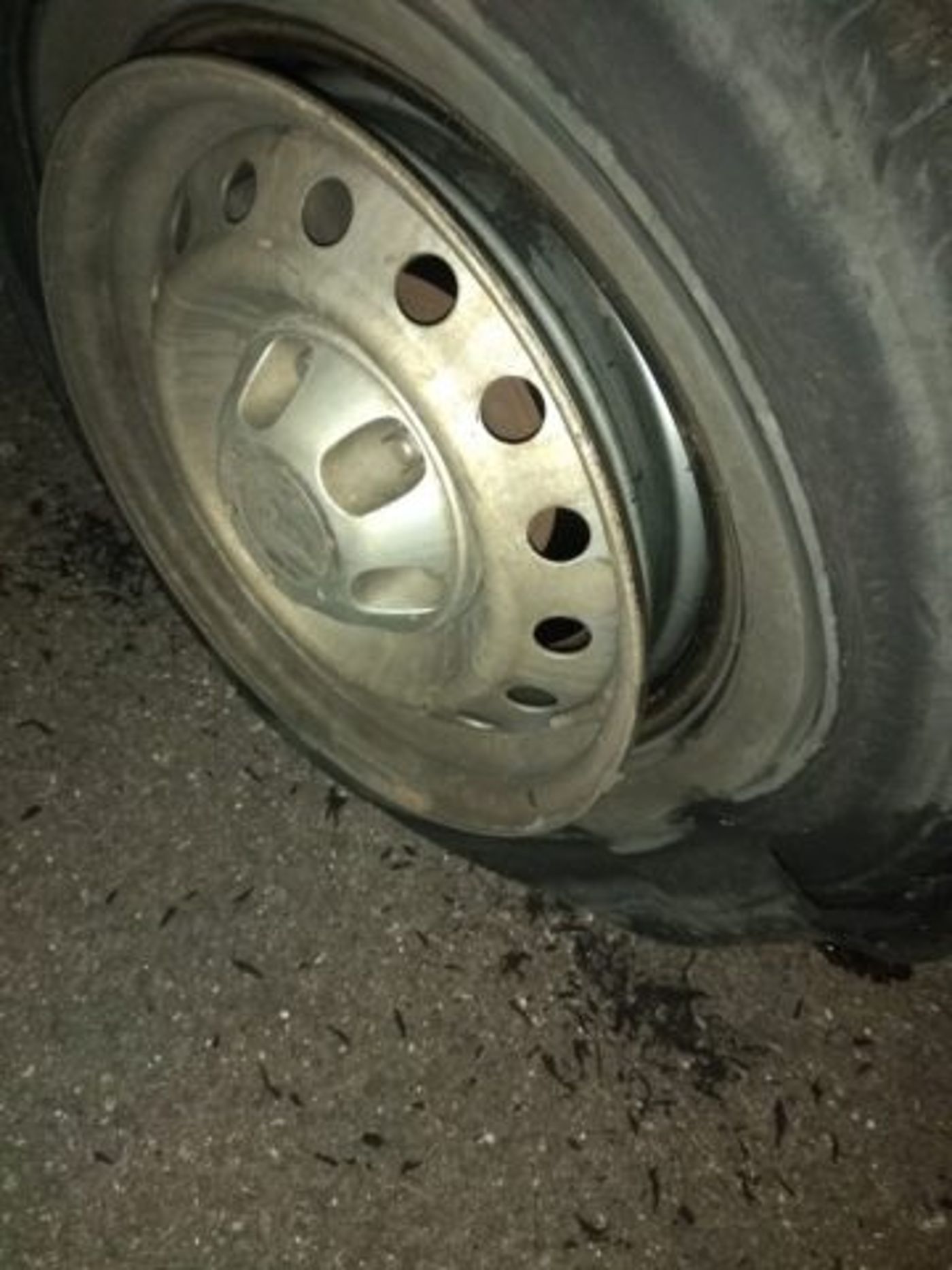 הנזק שנגרם לרכב. (קרדיט: הצלה ללא גבולות יו"ש)