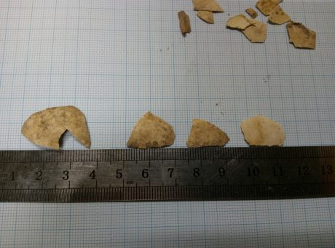 נחשף: הביצה בזמן המקדש לא היתה כשיעור החזון אי"ש