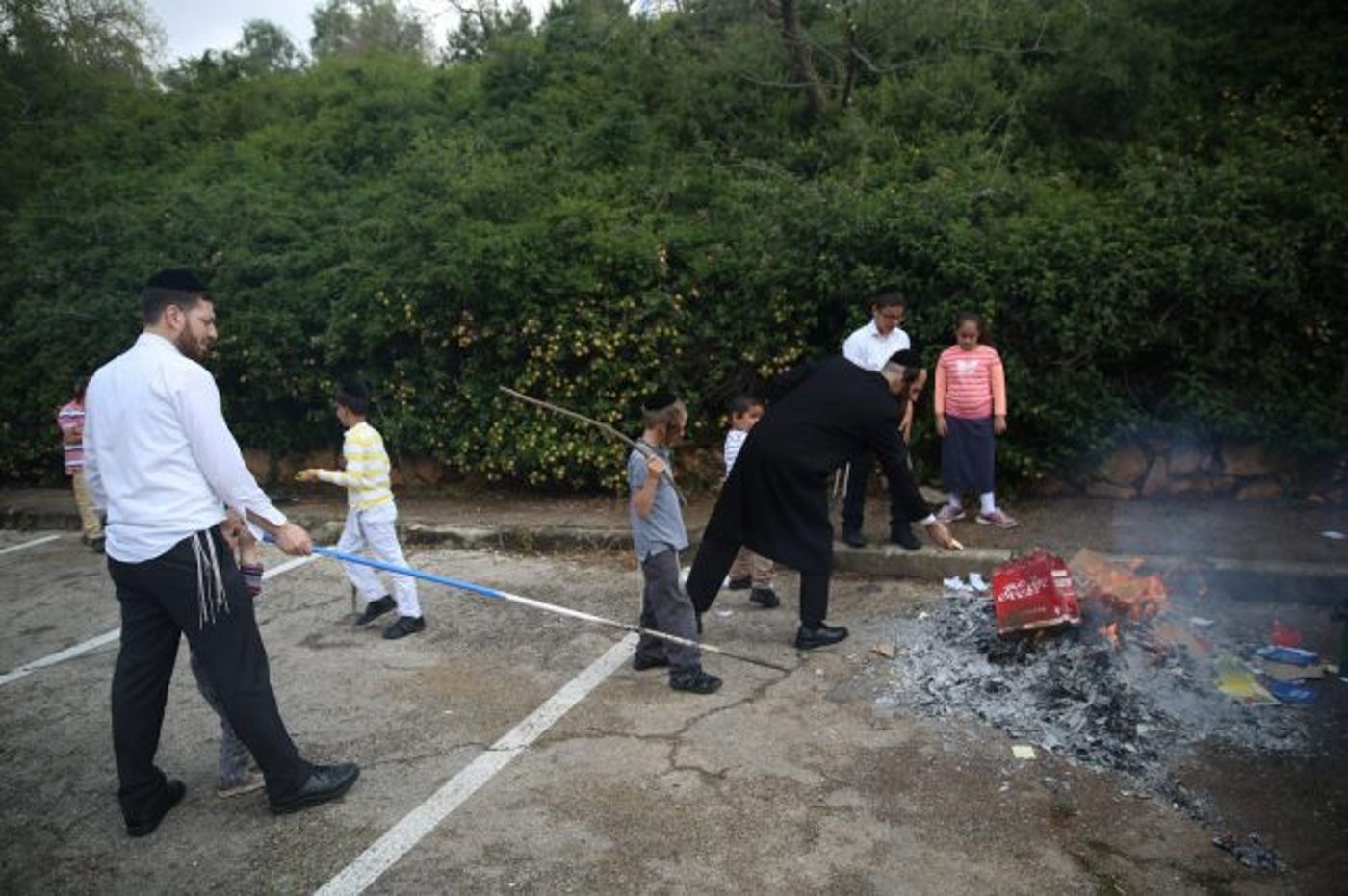 שבוע בלי לחם: עם ישראל ביער את החמץ. גלריה