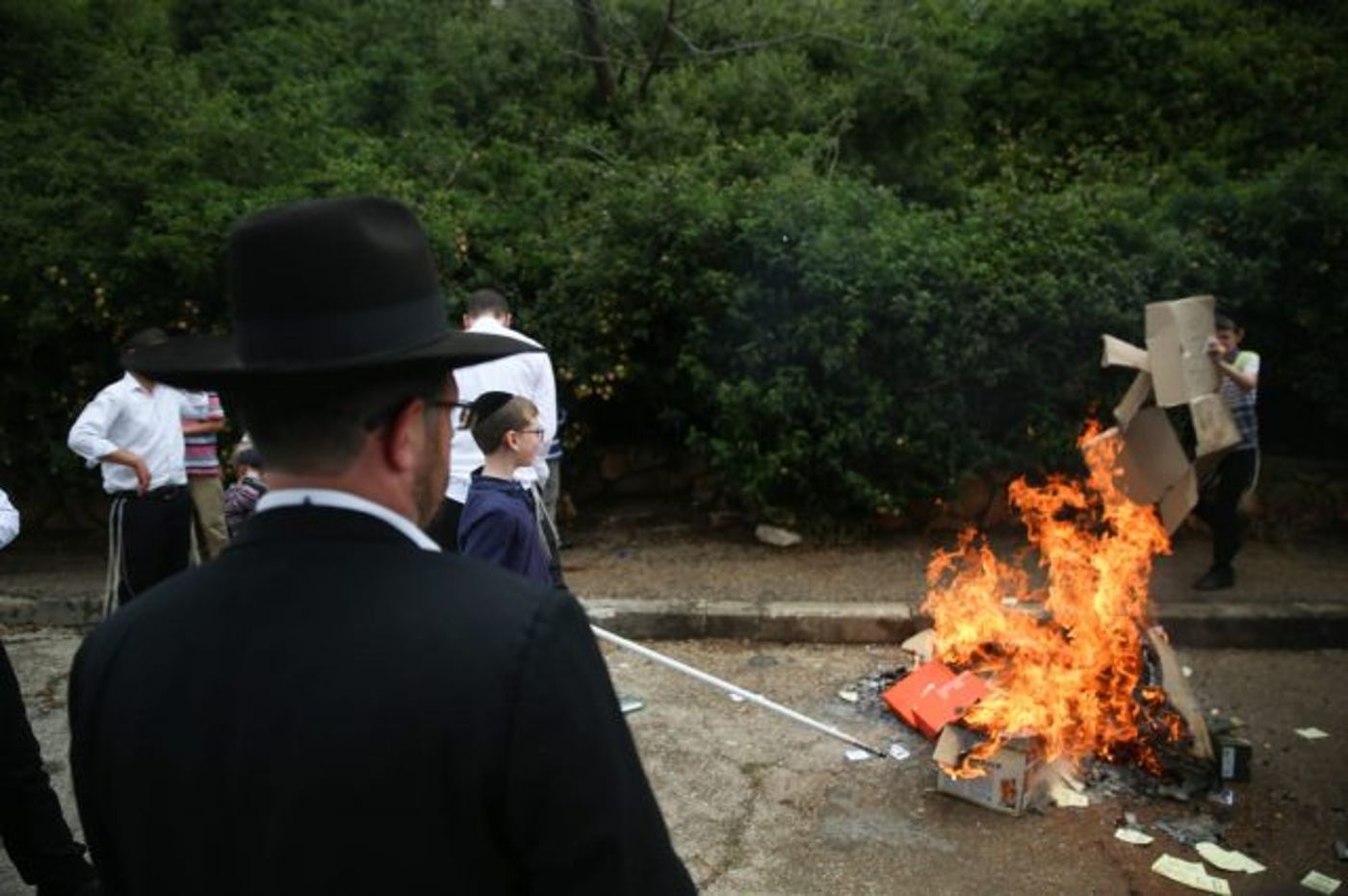 שבוע בלי לחם: עם ישראל ביער את החמץ. גלריה