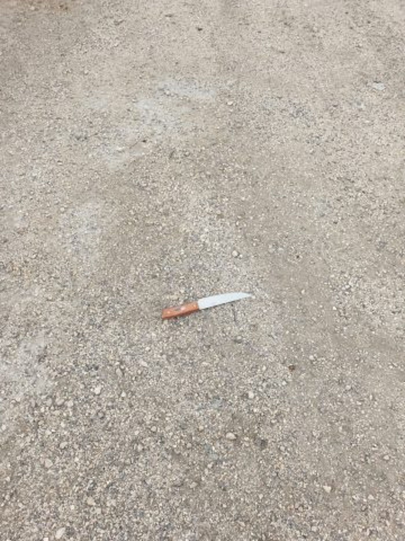 סכין ששימשה את המחבל (קרדיט: דוברות המשטרה)