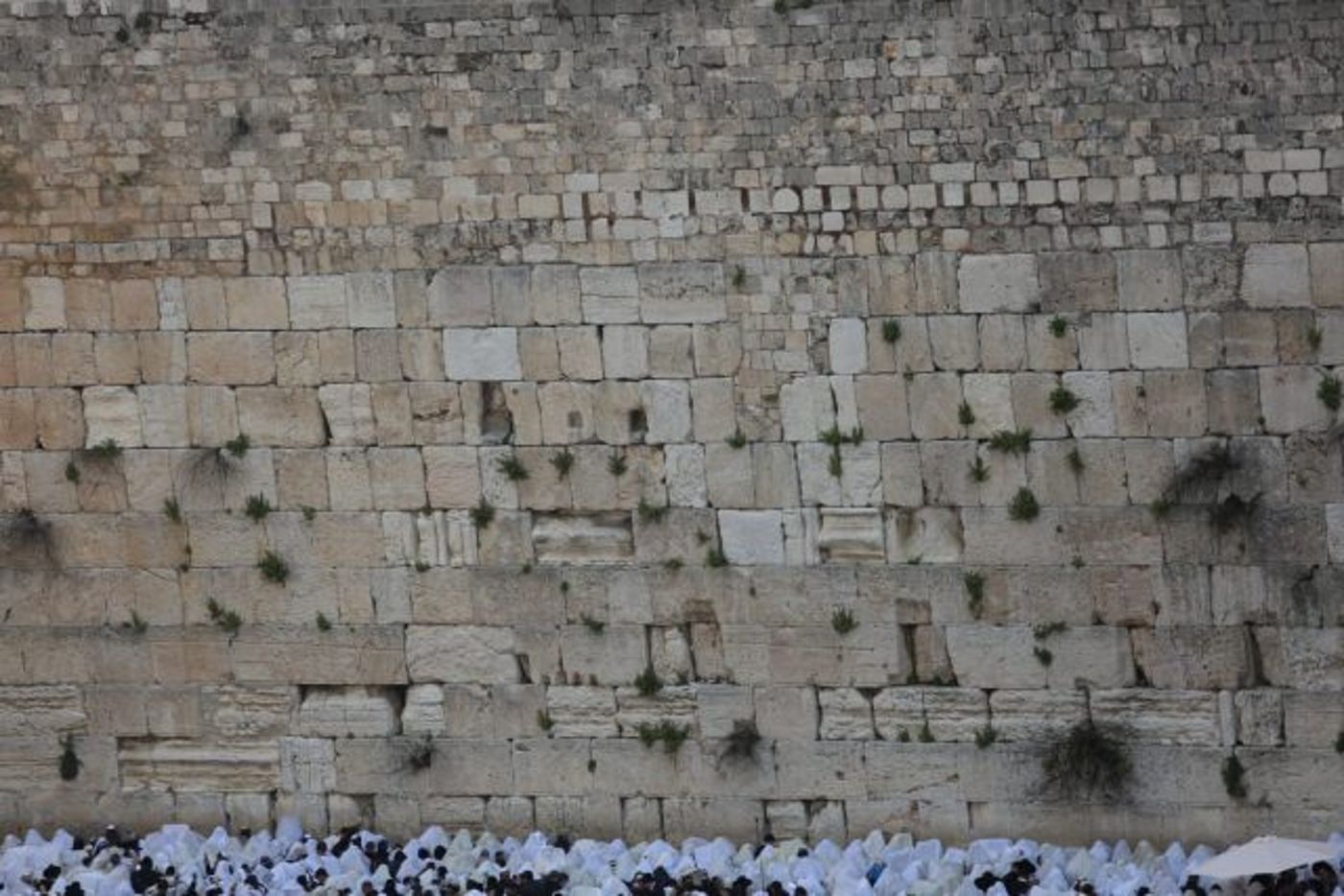 מרהיב: 100 אלף איש בברכת כוהנים בכותל. גלריה