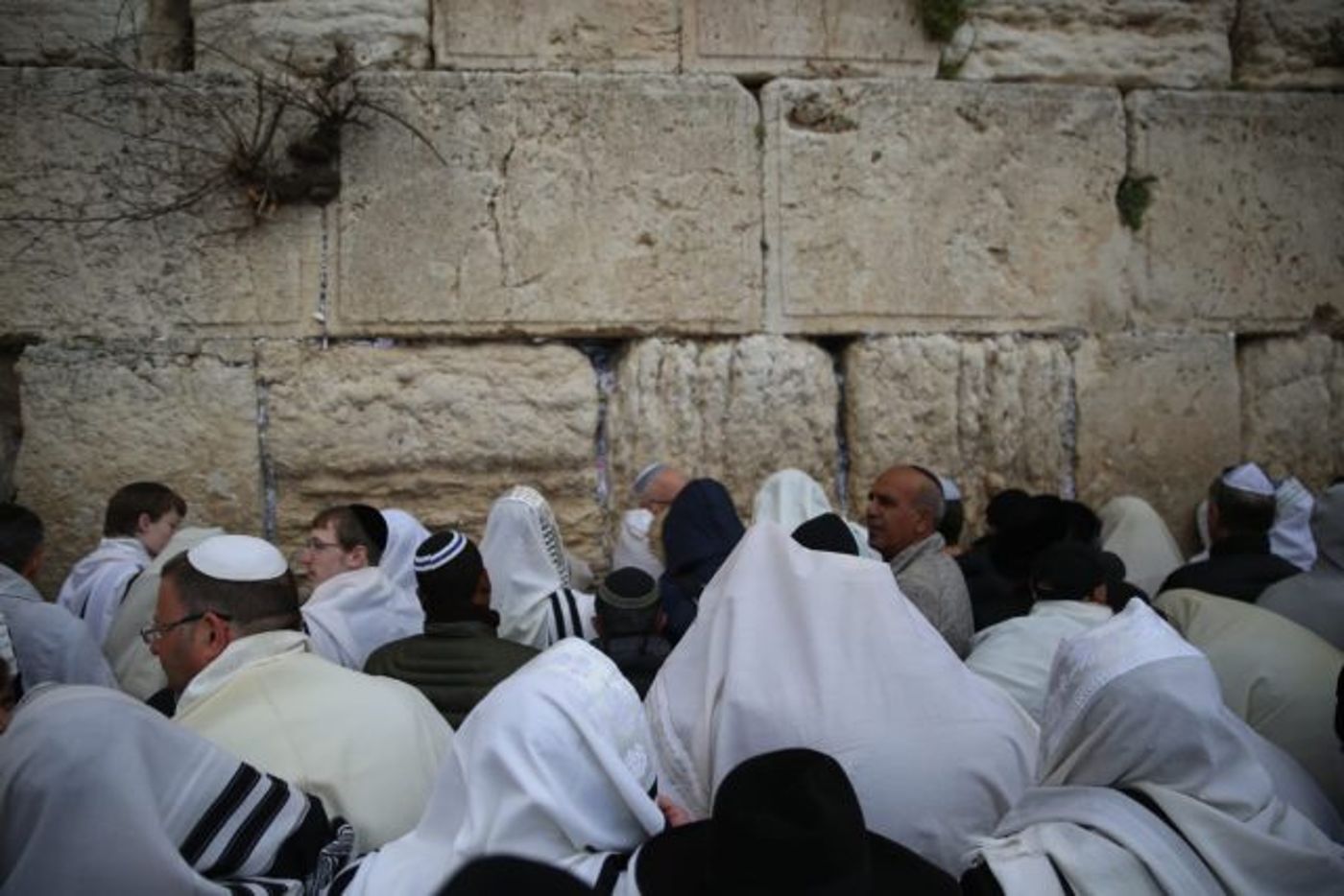 מרהיב: 100 אלף איש בברכת כוהנים בכותל. גלריה