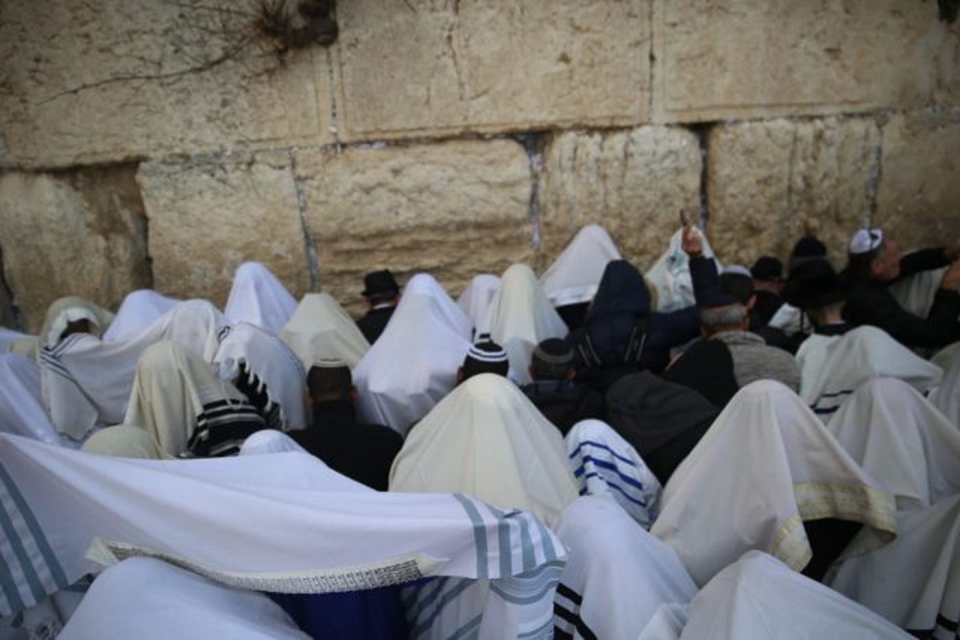 מרהיב: 100 אלף איש בברכת כוהנים בכותל. גלריה