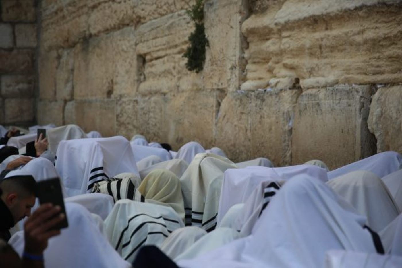 מרהיב: 100 אלף איש בברכת כוהנים בכותל. גלריה