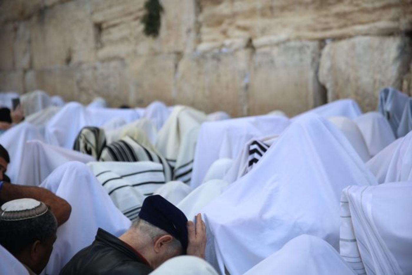 מרהיב: 100 אלף איש בברכת כוהנים בכותל. גלריה