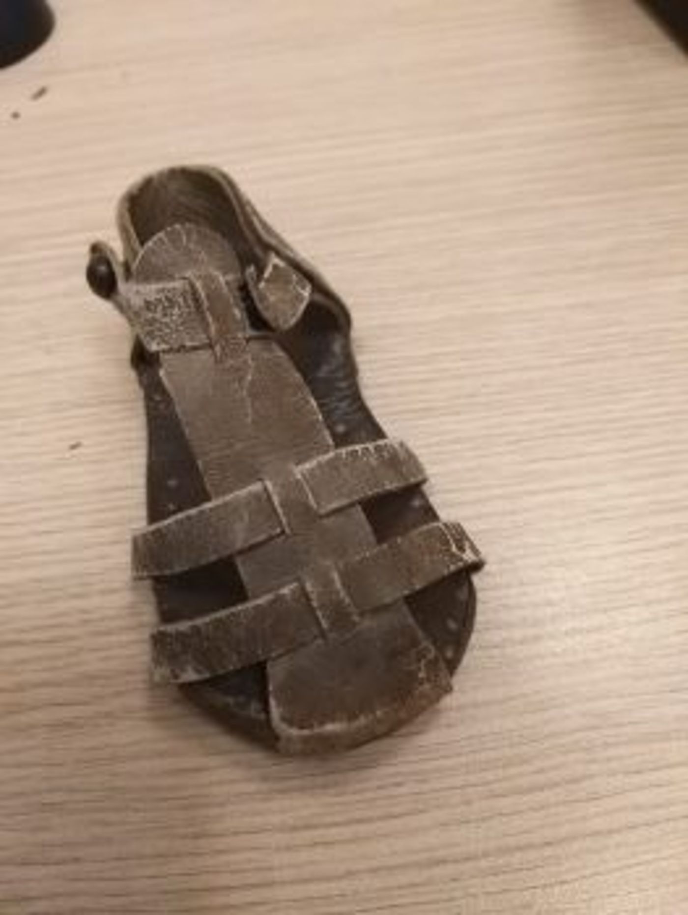 סנדל שנתפר במחסה (באדיבות מגדלי הים התיכון)