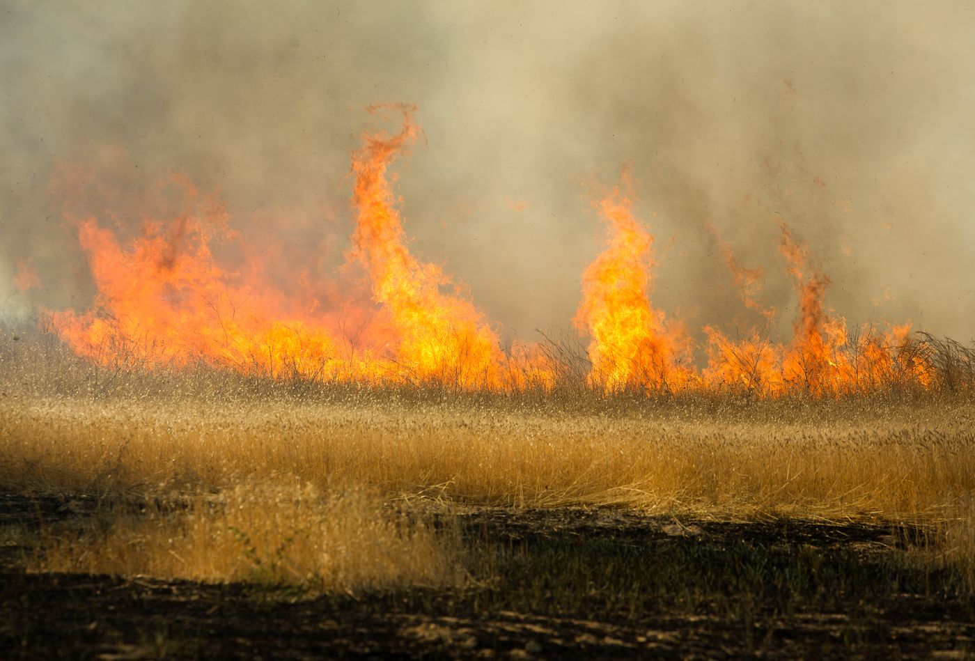 כמו לפני שנה: השדות בעוטף עזה שוב בוערים