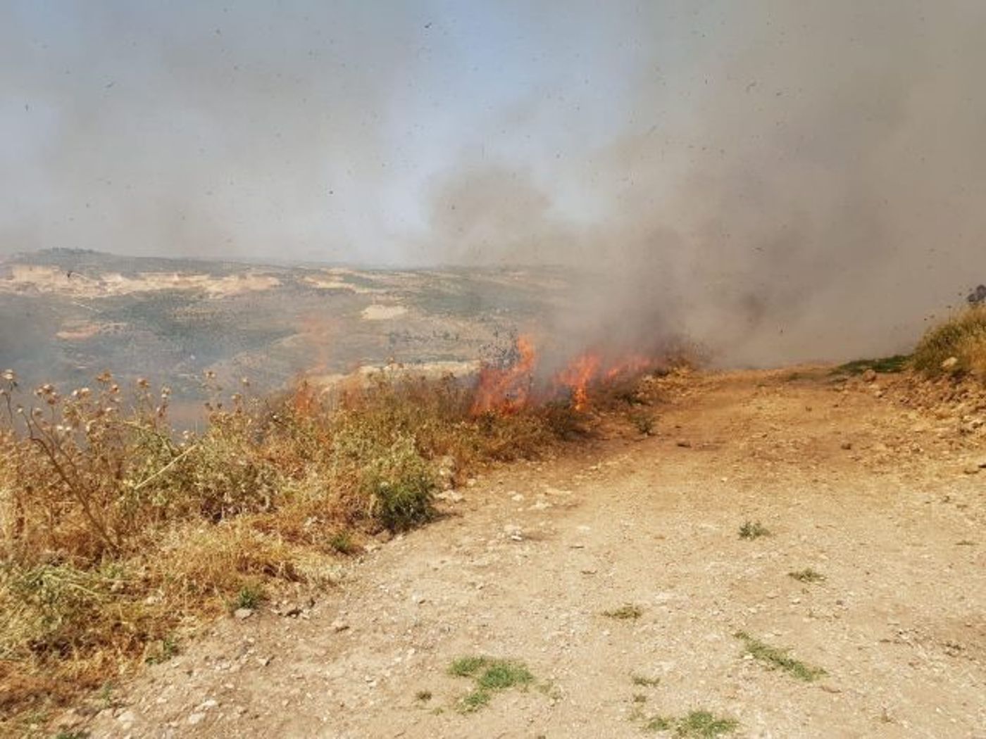 צפו: מחבלים הציתו את שדות היישוב יצהר