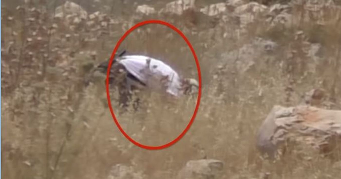 תיעוד: הפלסטינים מציתים, בצלם בהאשמה למתנחלים