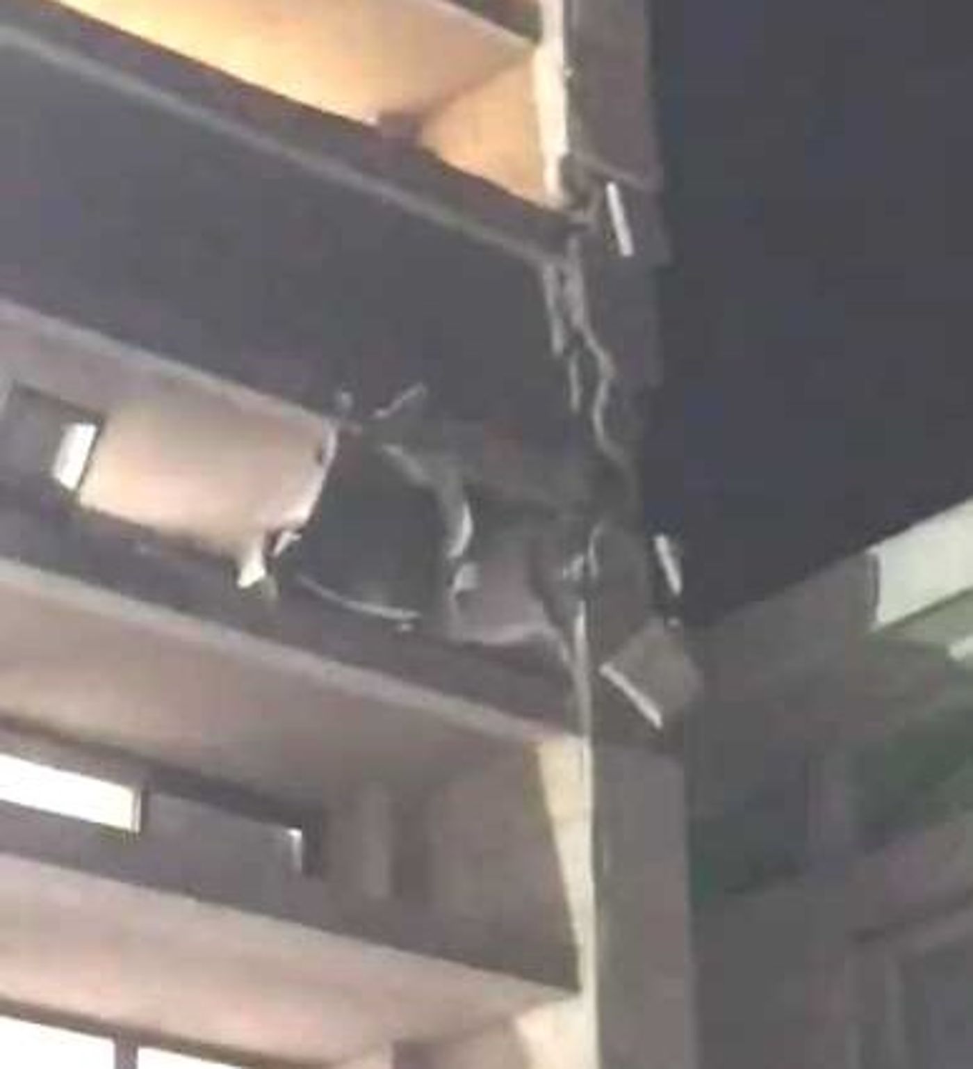 רקטה פגעה בבניין של ישיבת שדרות, אין נפגעים