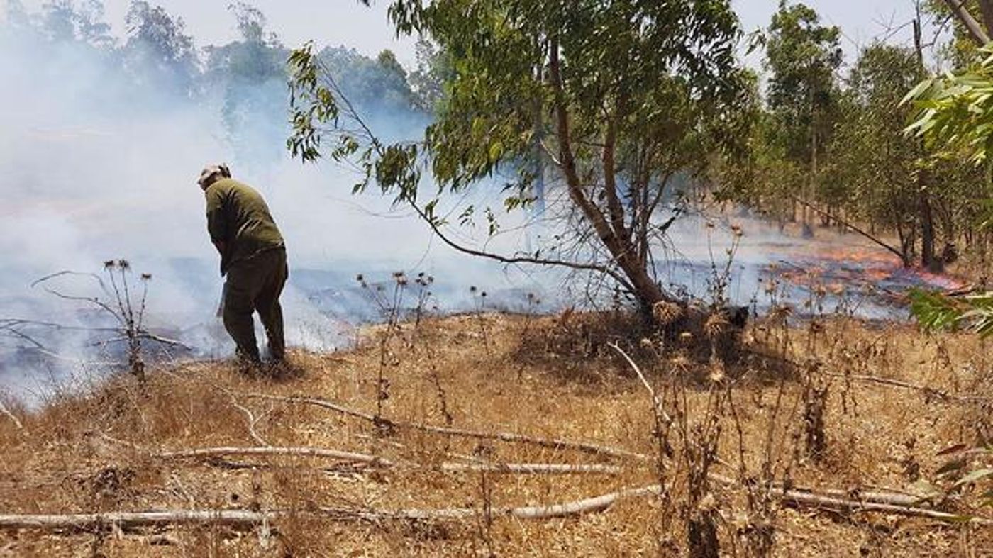 ספר ממולכד, בלוני תבערה והצתות: טרור בעוטף עזה