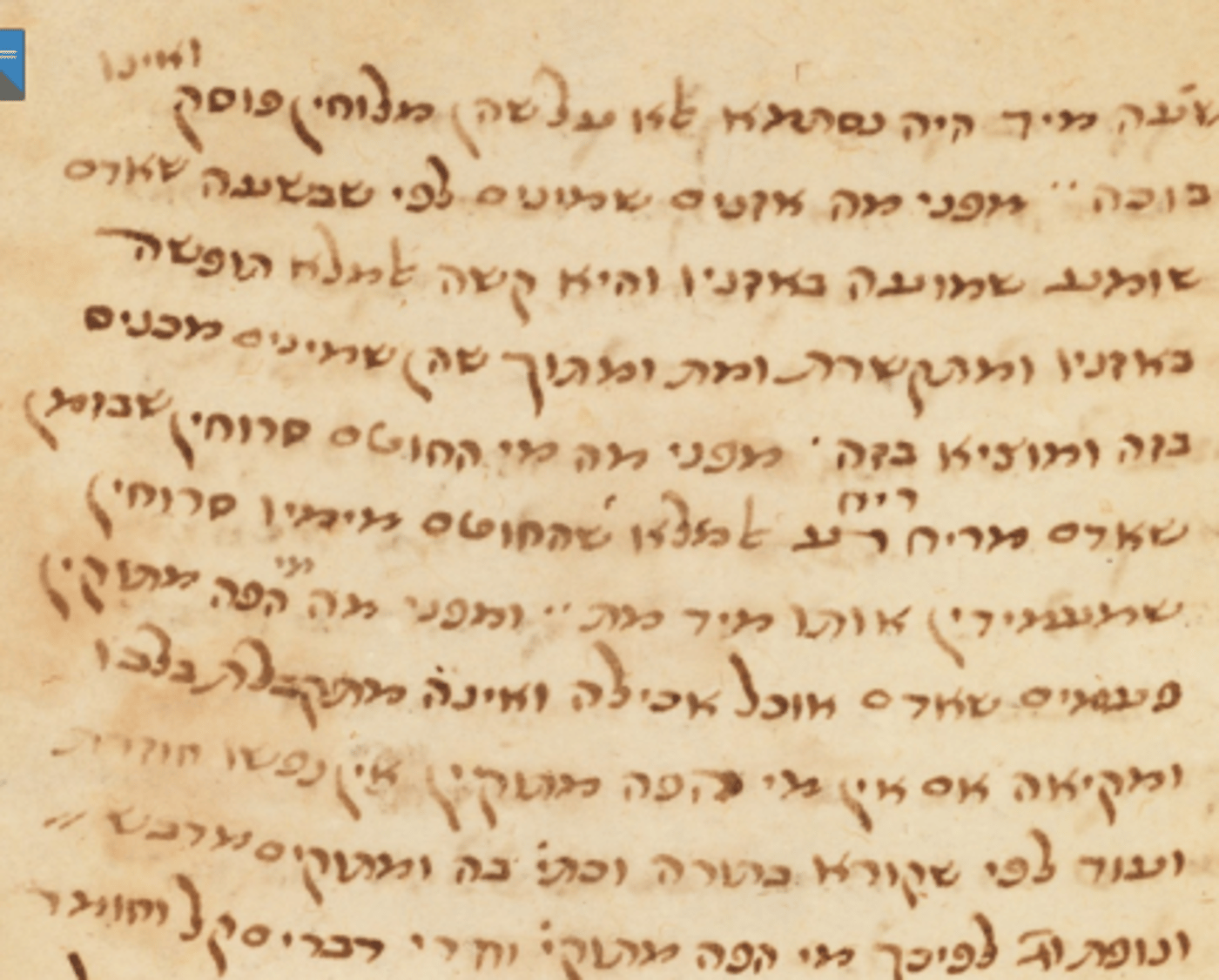 דבר תורה לפרשת חוקת: צער העולם וצער האדם