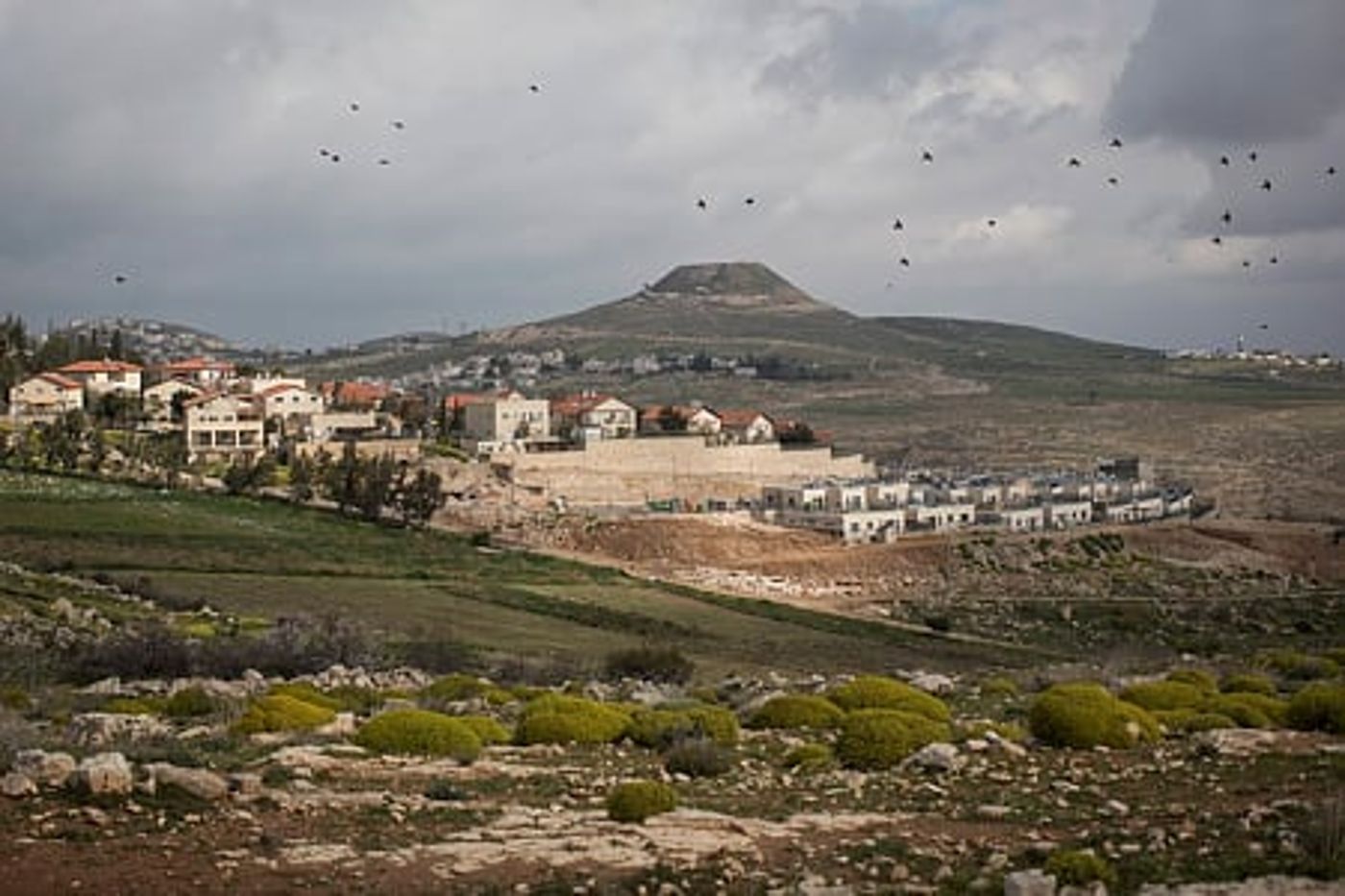 בגוש עציון מבהירים: "לא מדובר בהתעללות בילדים"