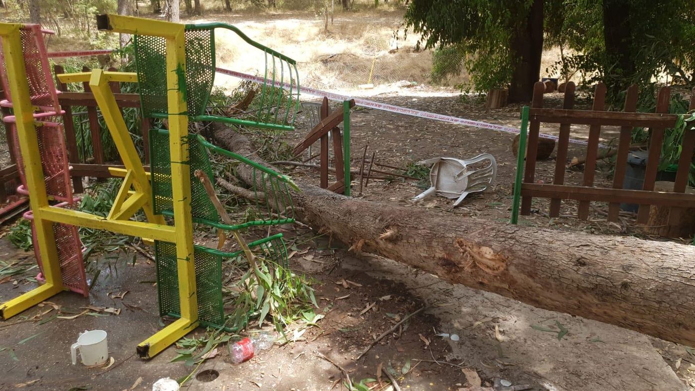 אסון בפארק בלכיש: עץ קרס על ילד בן 10 שנהרג