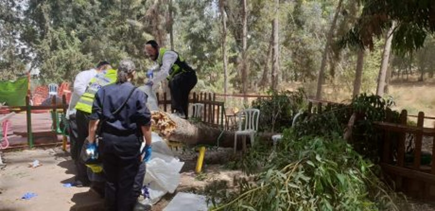 אסון בפארק בלכיש: עץ קרס על ילד בן 10 שנהרג