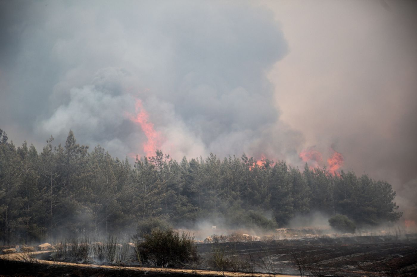רגיעה בשריפות: 15 מבנים נפגעו, 7 פצועים