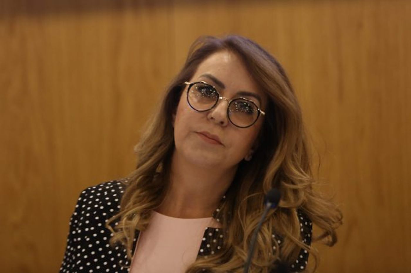 אורלי עדס, מנכ"לית ועד הבחירות