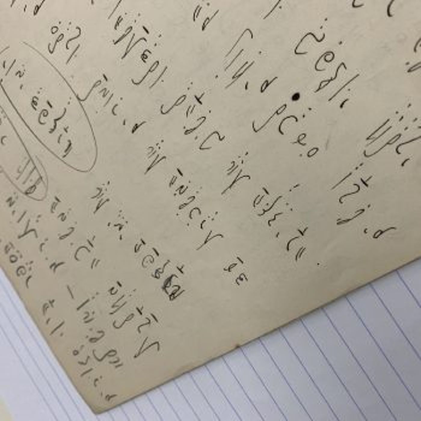 מאות כתבי יד של קפקא נחשפו, גם בעברית