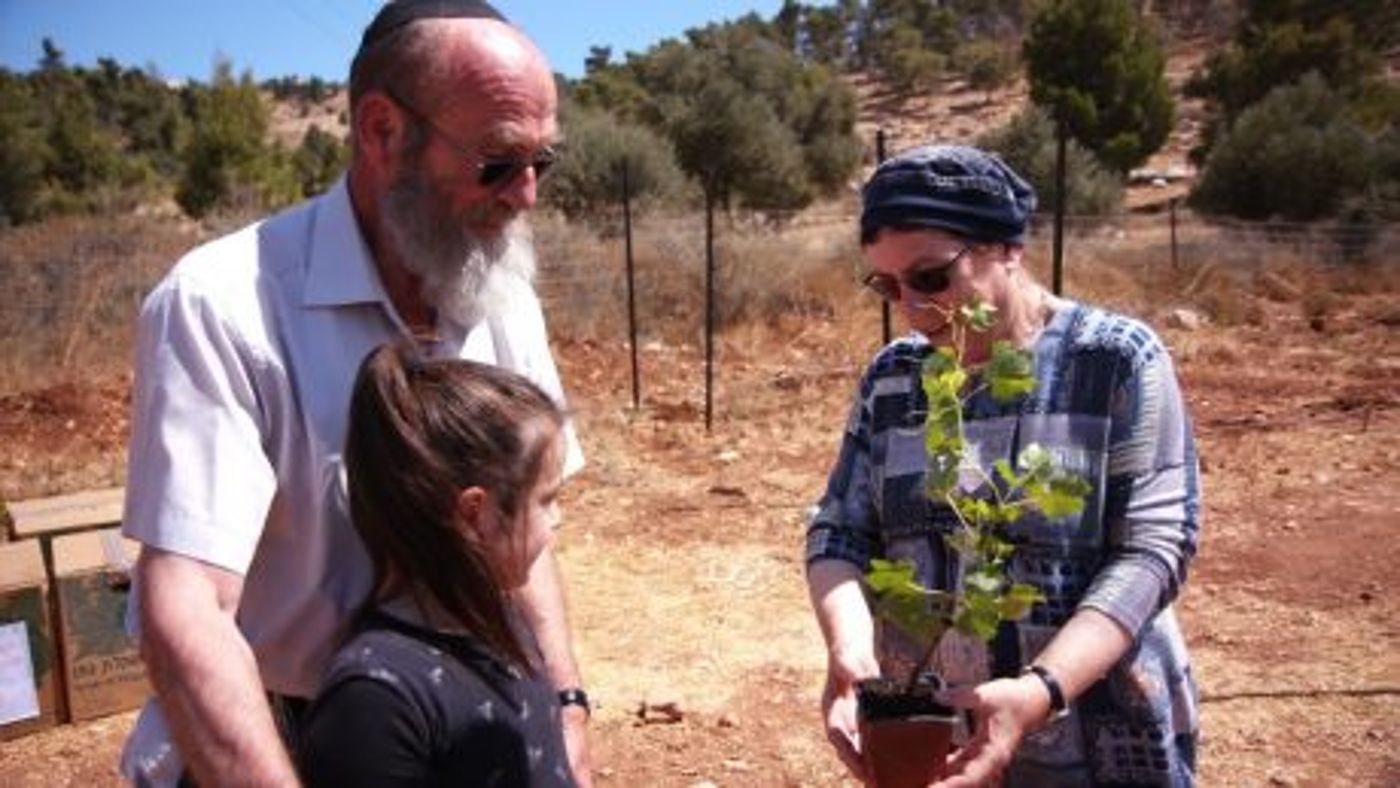גם לאחר 40 שנה היישוב אלון מורה בתנופת בנייה