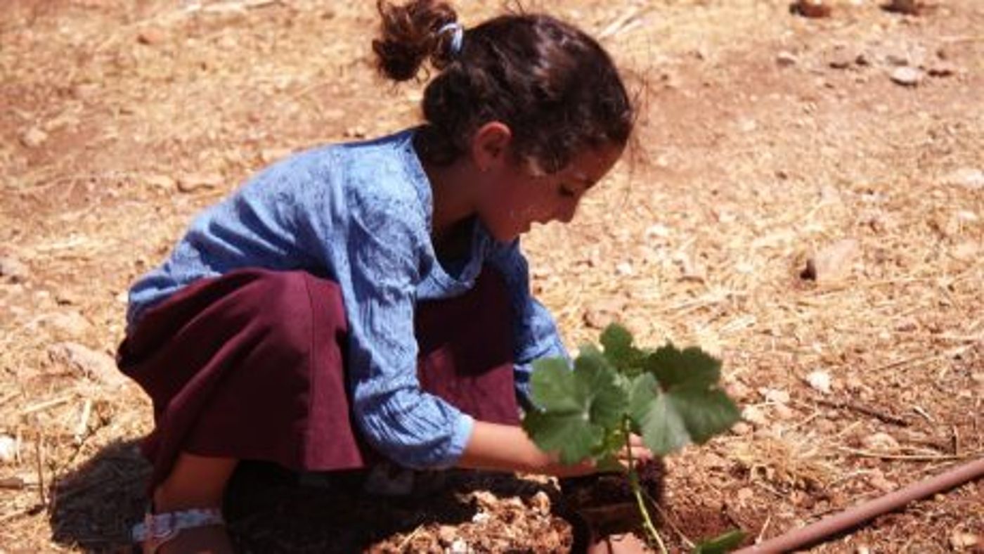 גם לאחר 40 שנה היישוב אלון מורה בתנופת בנייה