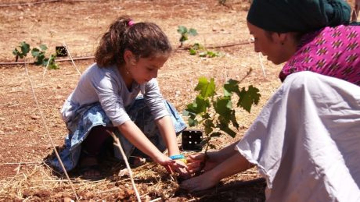 גם לאחר 40 שנה היישוב אלון מורה בתנופת בנייה