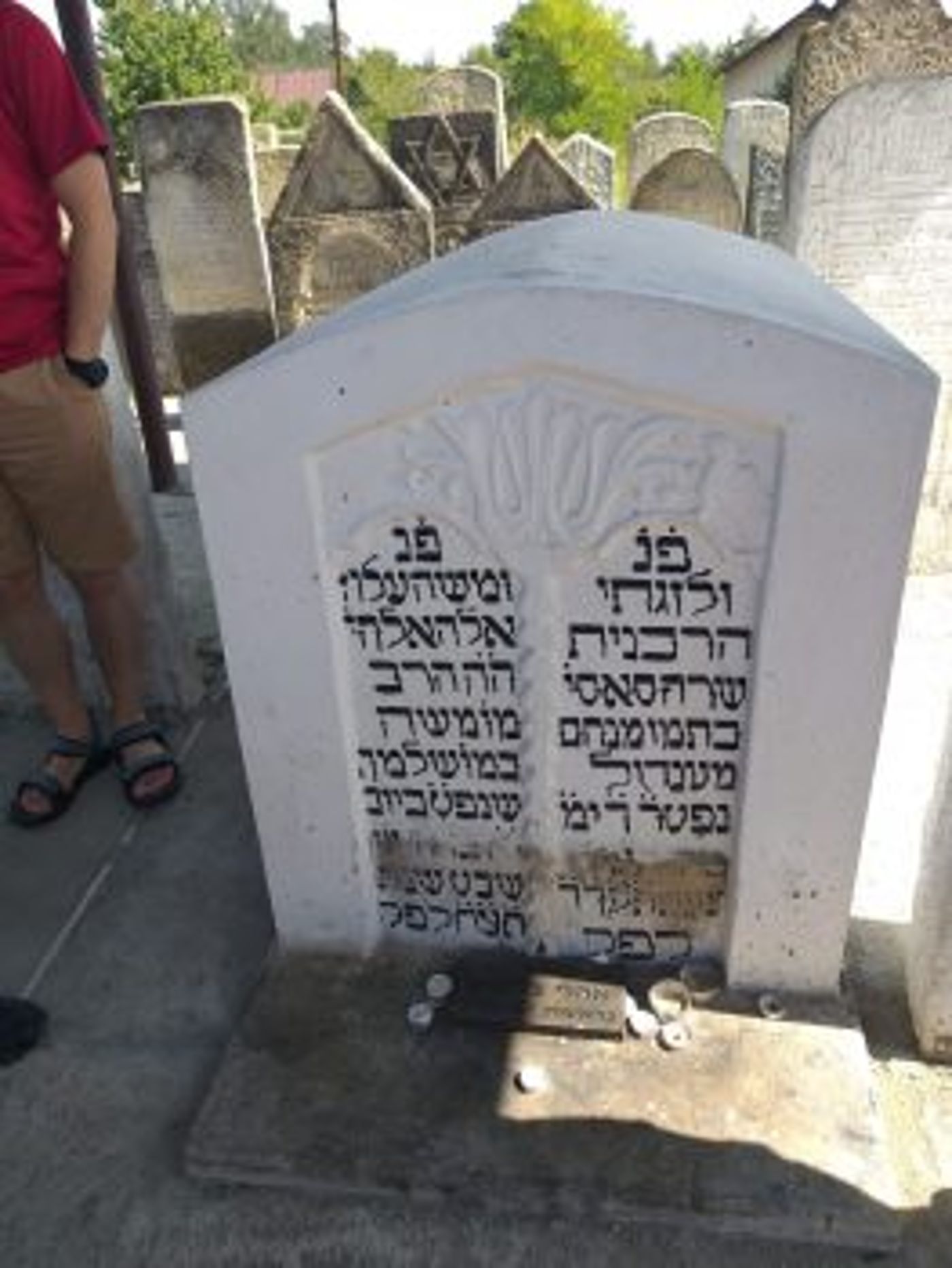 משלחת סטודנטים מהרצוג חשפה קברים עתיקים באוקראינה