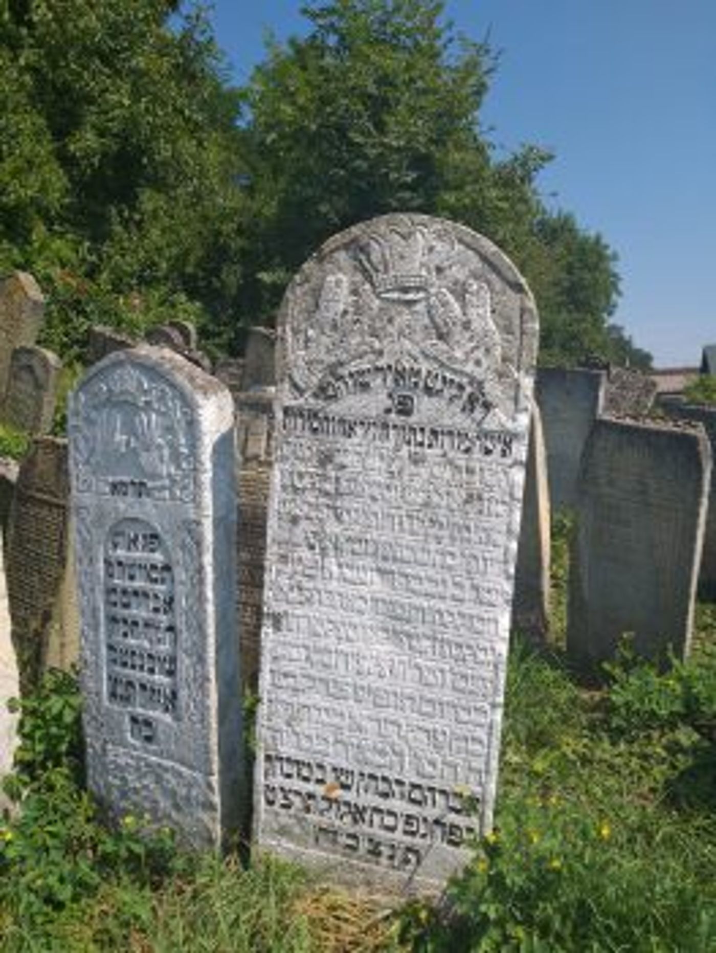 משלחת סטודנטים מהרצוג חשפה קברים עתיקים באוקראינה