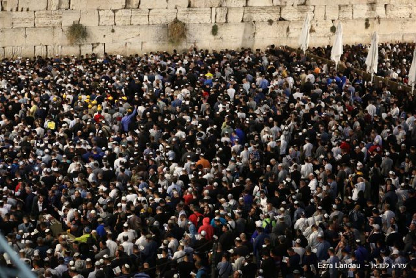 תיעוד עוצמתי: כמאה אלף איש באירוע סליחות בכותל