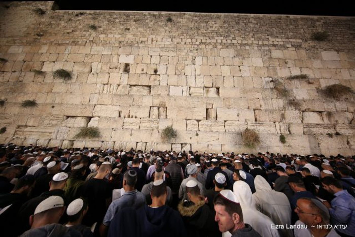 תיעוד עוצמתי: כמאה אלף איש באירוע סליחות בכותל