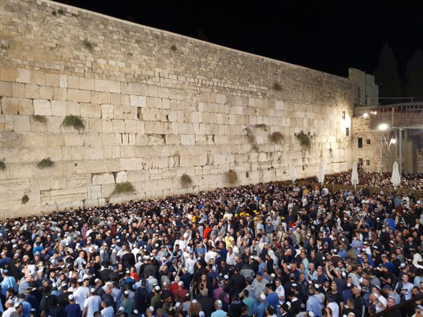 צפו בתיעוד: עשרות אלפים בסליחות בכותל המערבי