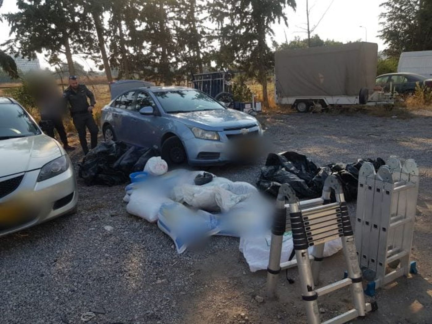 ערבים גנבו 800 ק"ג זיתים ממטע ליד ירושלים