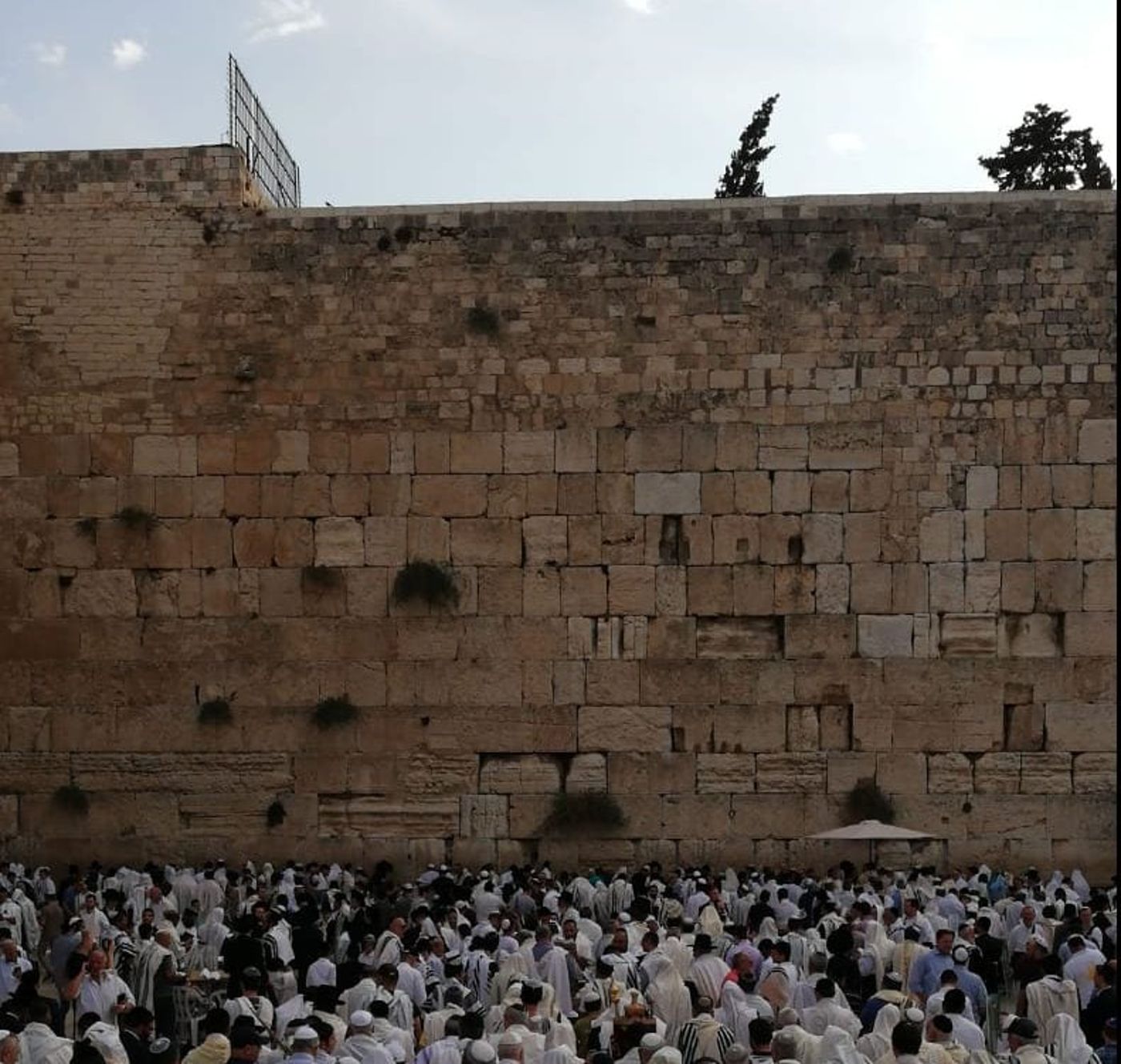אלפים בכותל: שידור חי ממעמד ברכת הכהנים