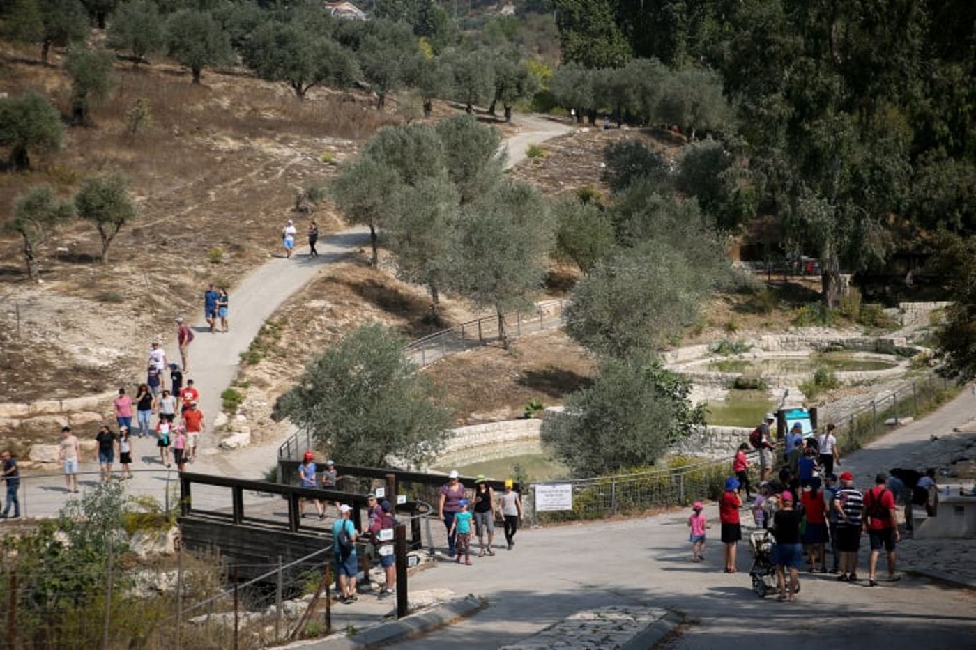 שיא חדש: כ-150 אלף מטיילים ברחבי הארץ