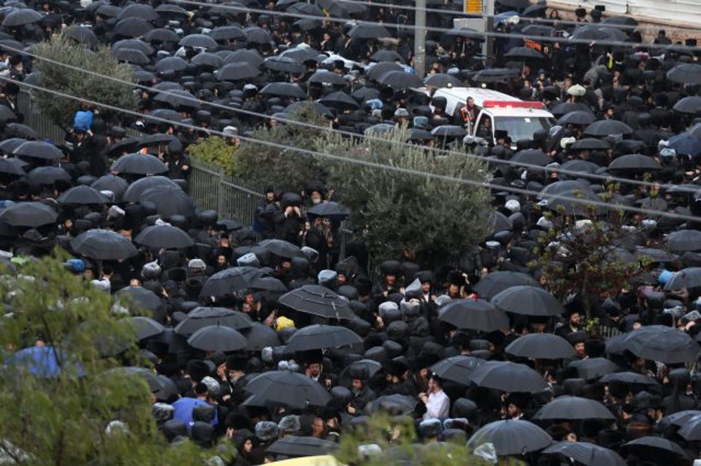 תיעוד: הרב לאו מוזמן כבוד בחתונת האדמו"ר מגור