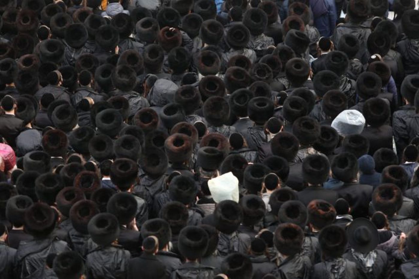 תיעוד: הרב לאו מוזמן כבוד בחתונת האדמו"ר מגור